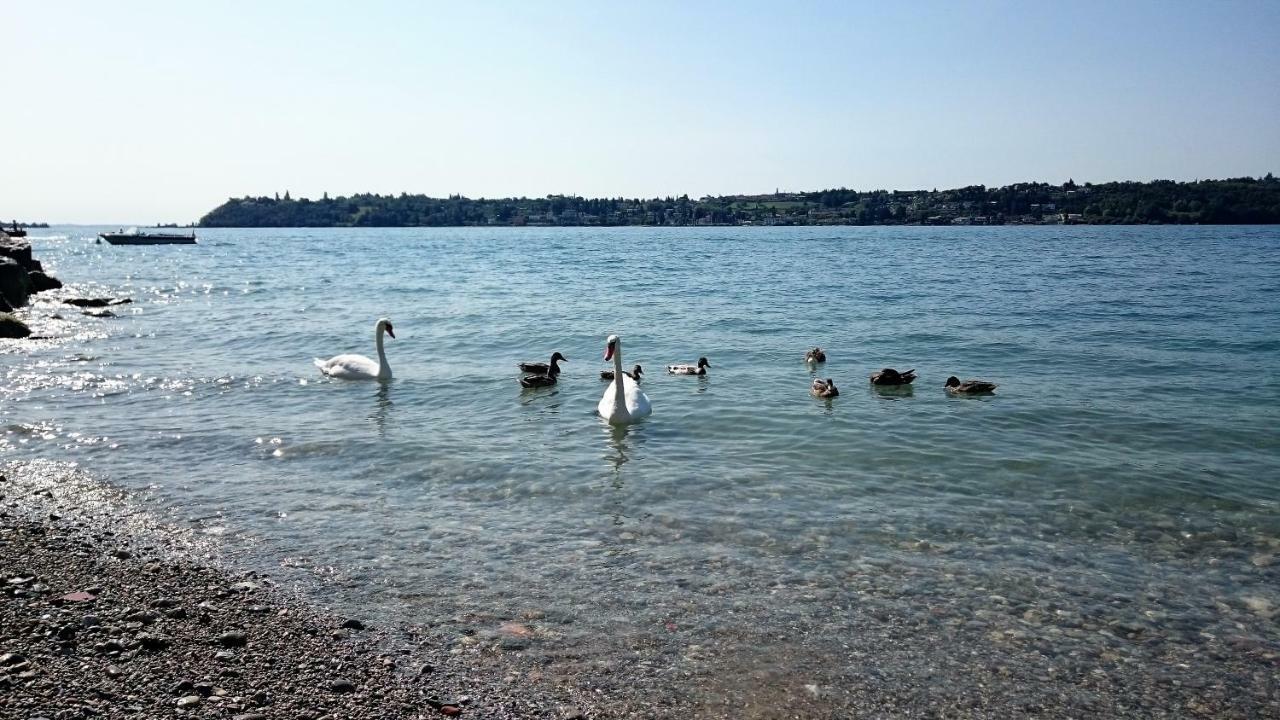 Brezza Di Lago سالو المظهر الخارجي الصورة